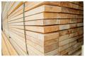 Selling Lumber edging:board conifers:pine in Vologda region Russia №47429 | WoodResource.com