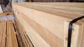 Selling Lumber unedged:board conifers:larch in Irkutsk region Russia №44585 | WoodResource.com