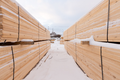 Selling Lumber edging:board conifers:pine in The Republic Of Bashkortostan Russia №48332 | WoodResource.com