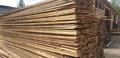 Selling Lumber edging:board conifers:pine in Khanty-Mansi Autonomous Okrug Russia №46836 | WoodResource.com